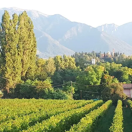 Appartamento Kia Ora San Zenone