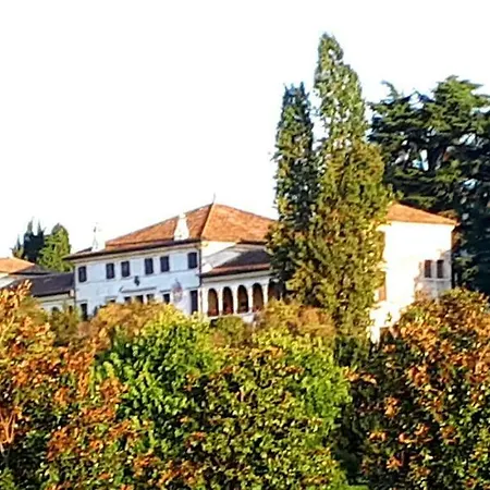 Kia Ora * San Zenone